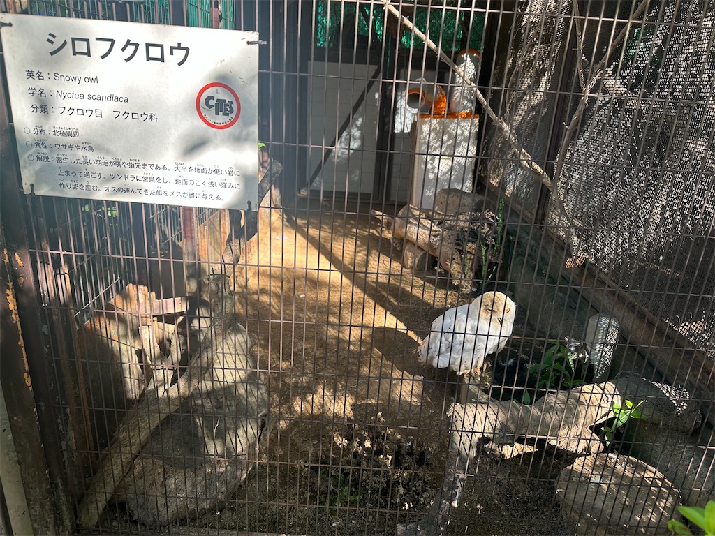 f:id:mayurin2018:20230819232747j:image f:id:mayurin2018:20230819232747j:image