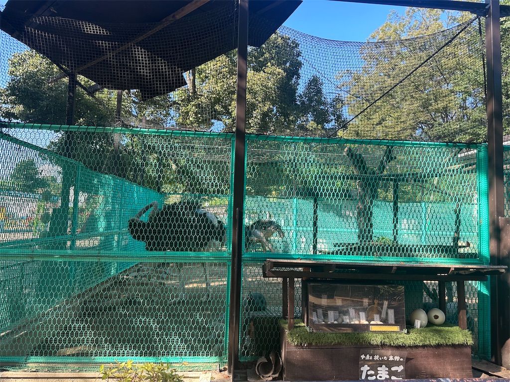 f:id:mayurin2018:20230819232851j:image f:id:mayurin2018:20230819232851j:image