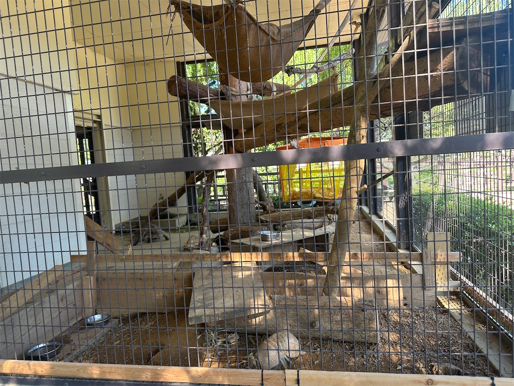 f:id:mayurin2018:20230819233258j:image f:id:mayurin2018:20230819233258j:image