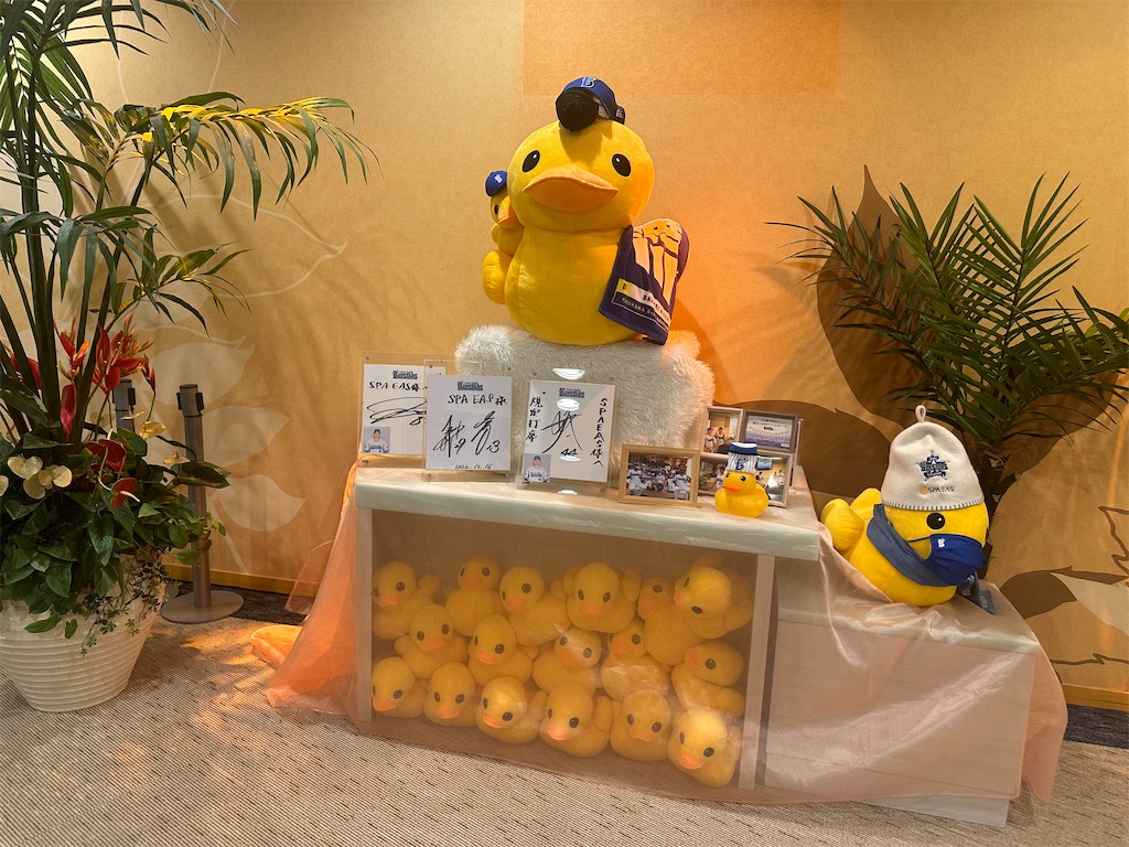 f:id:mayurin2018:20230922155943j:image f:id:mayurin2018:20230922155943j:image