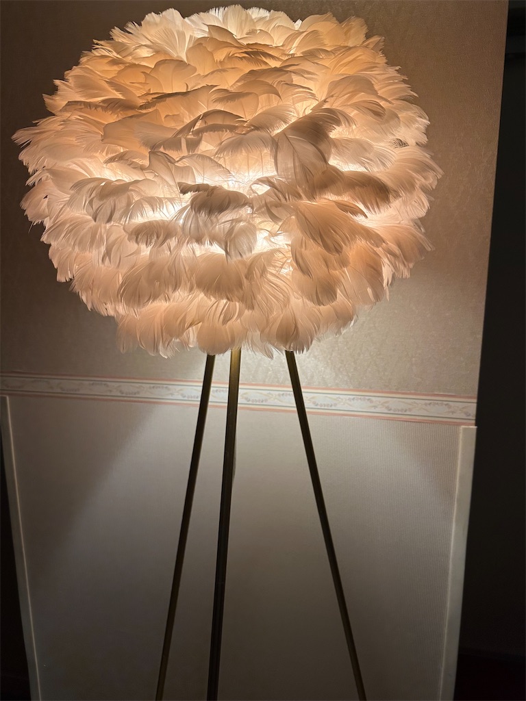 f:id:mayurin2018:20230922173504j:image f:id:mayurin2018:20230922173504j:image