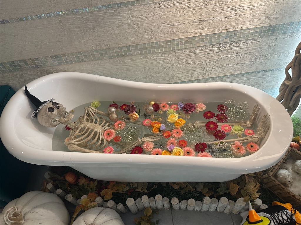 f:id:mayurin2018:20230922200516j:image f:id:mayurin2018:20230922200516j:image