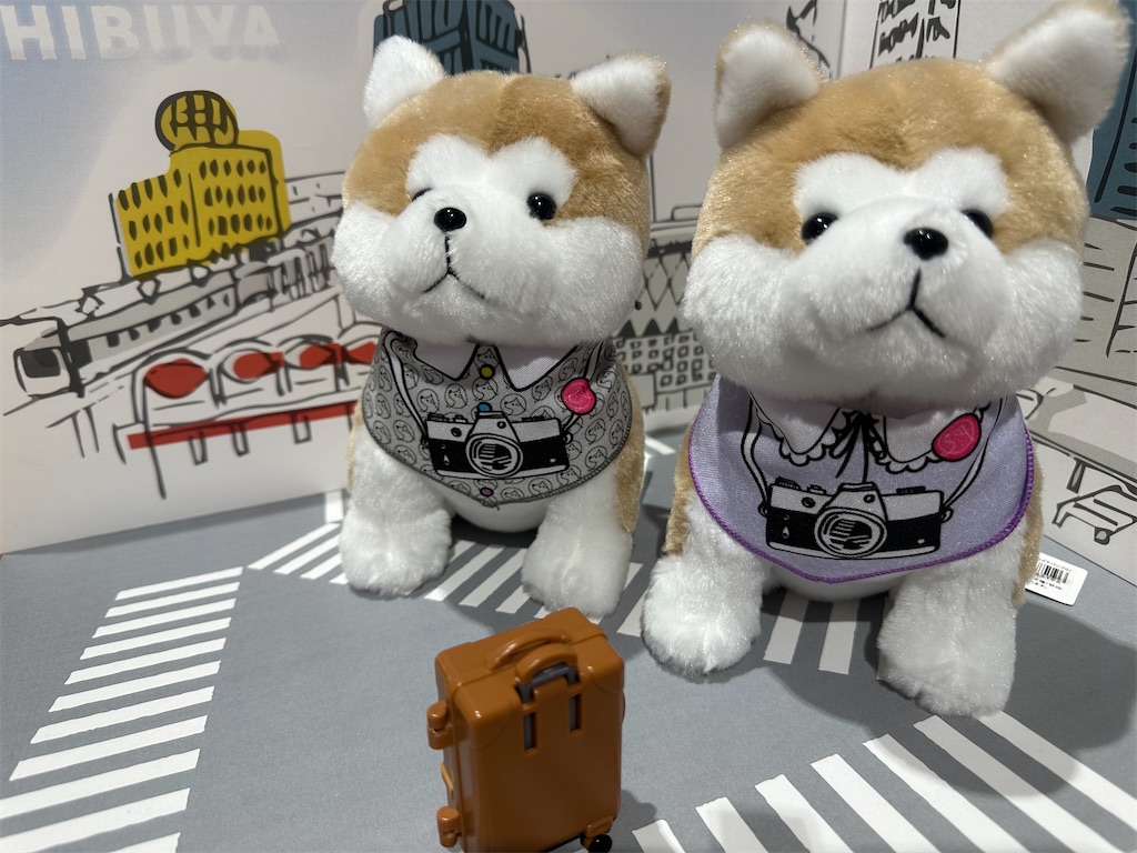 渋谷スクランブルスクエア14階の『ハチふる SHIBUYA meets AKITA』へ訪れると忠犬ハチ公のオブジェが展示！ - まゆまゆぱーてぃー