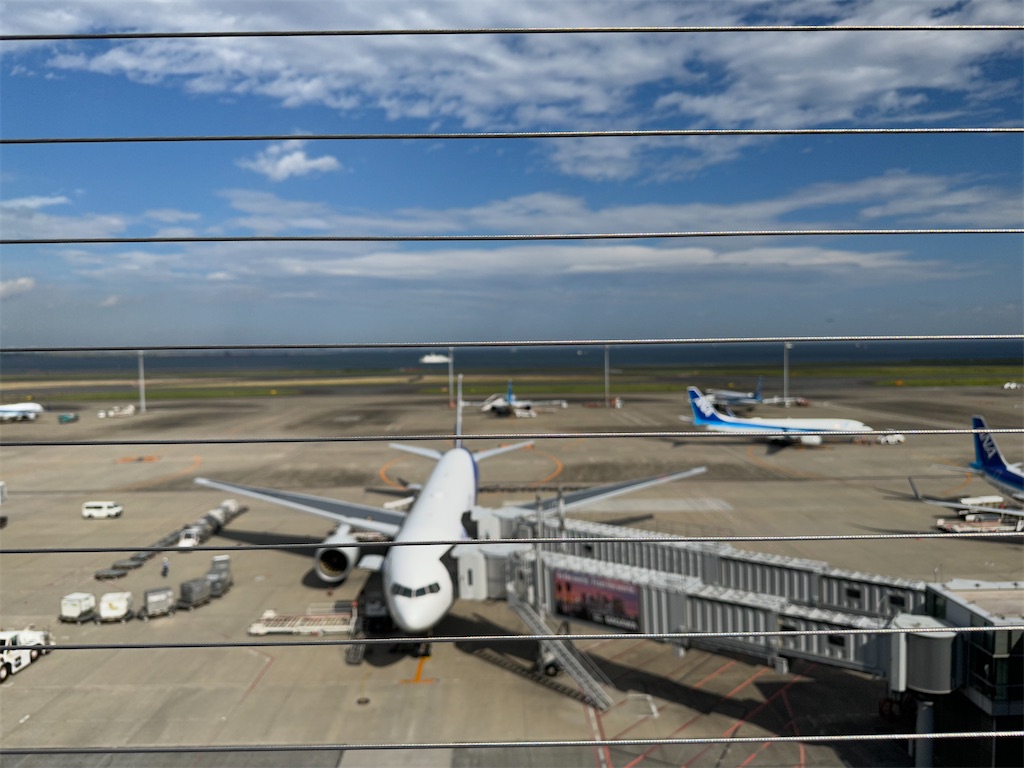 f:id:mayurin2018:20231020131523j:image f:id:mayurin2018:20231020131523j:image