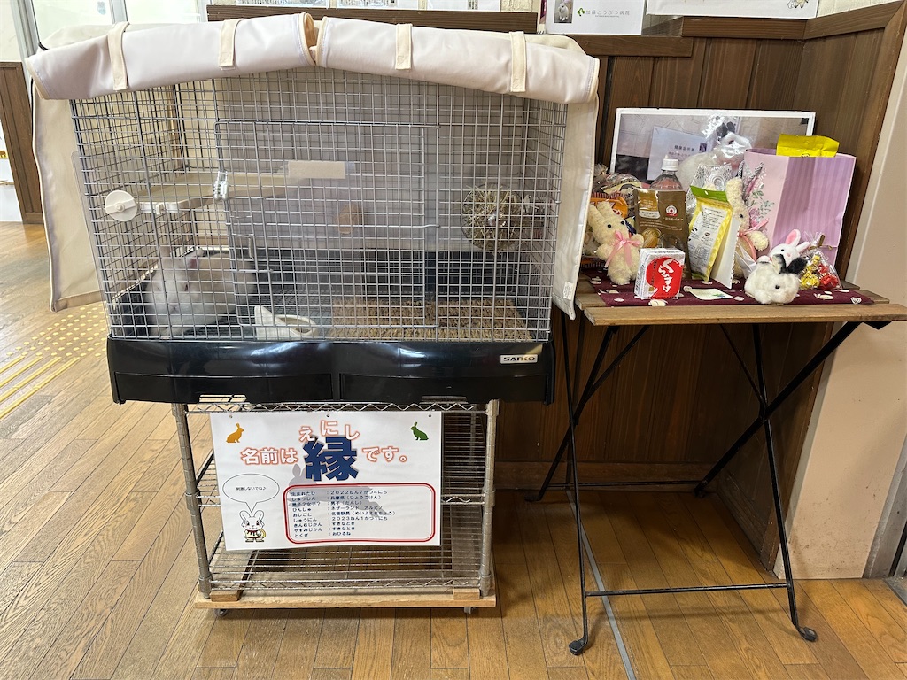 f:id:mayurin2018:20231106131022j:image