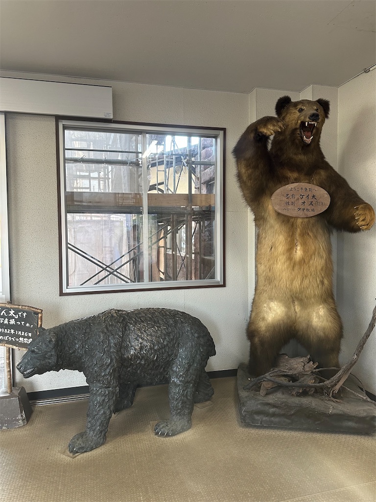 f:id:mayurin2018:20231211123801j:image f:id:mayurin2018:20231211123801j:image