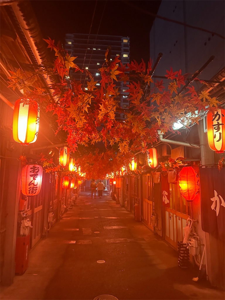 f:id:mayurin2018:20240103234124j:image f:id:mayurin2018:20240103234124j:image