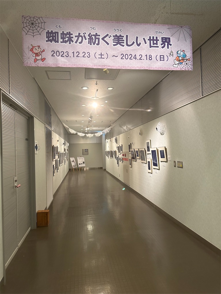 f:id:mayurin2018:20240104113018j:image f:id:mayurin2018:20240104113018j:image