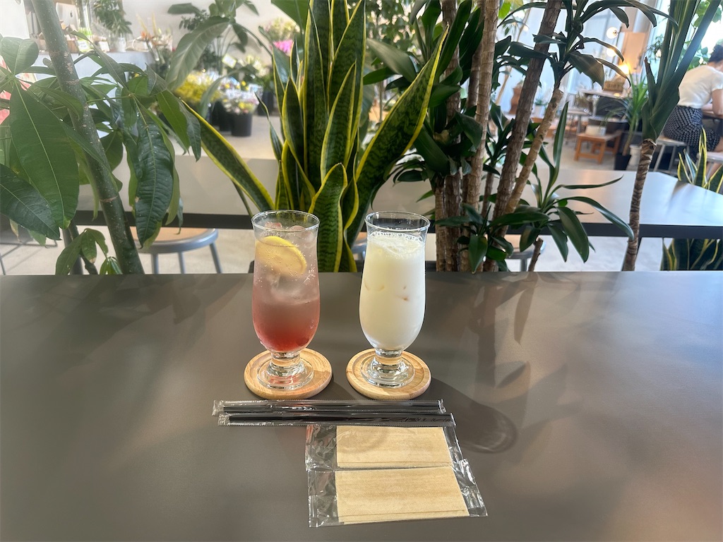 f:id:mayurin2018:20240817162905j:image