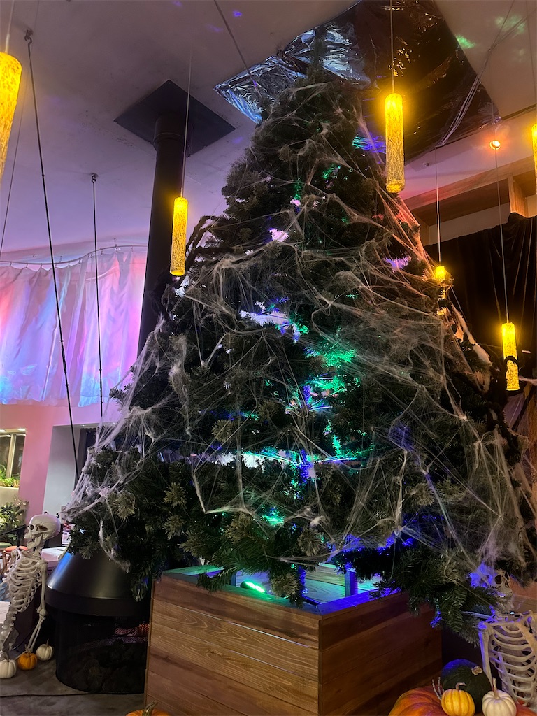 f:id:mayurin2018:20240915183210j:image