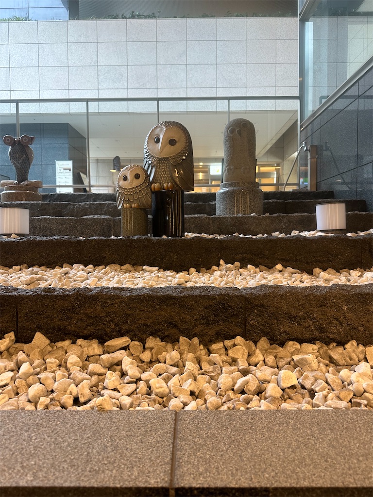 f:id:mayurin2018:20241005122907j:image f:id:mayurin2018:20241005122907j:image