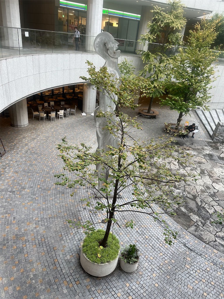 f:id:mayurin2018:20241025133025j:image