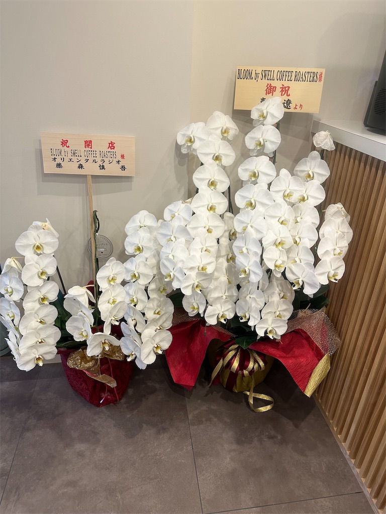 f:id:mayurin2018:20241027134945j:image