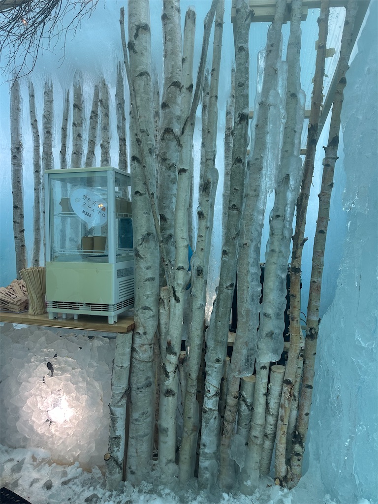 f:id:mayurin2018:20250210151200j:image f:id:mayurin2018:20250210151200j:image