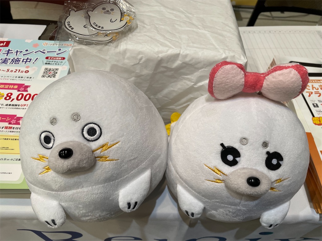 f:id:mayurin2018:20250308174618j:image