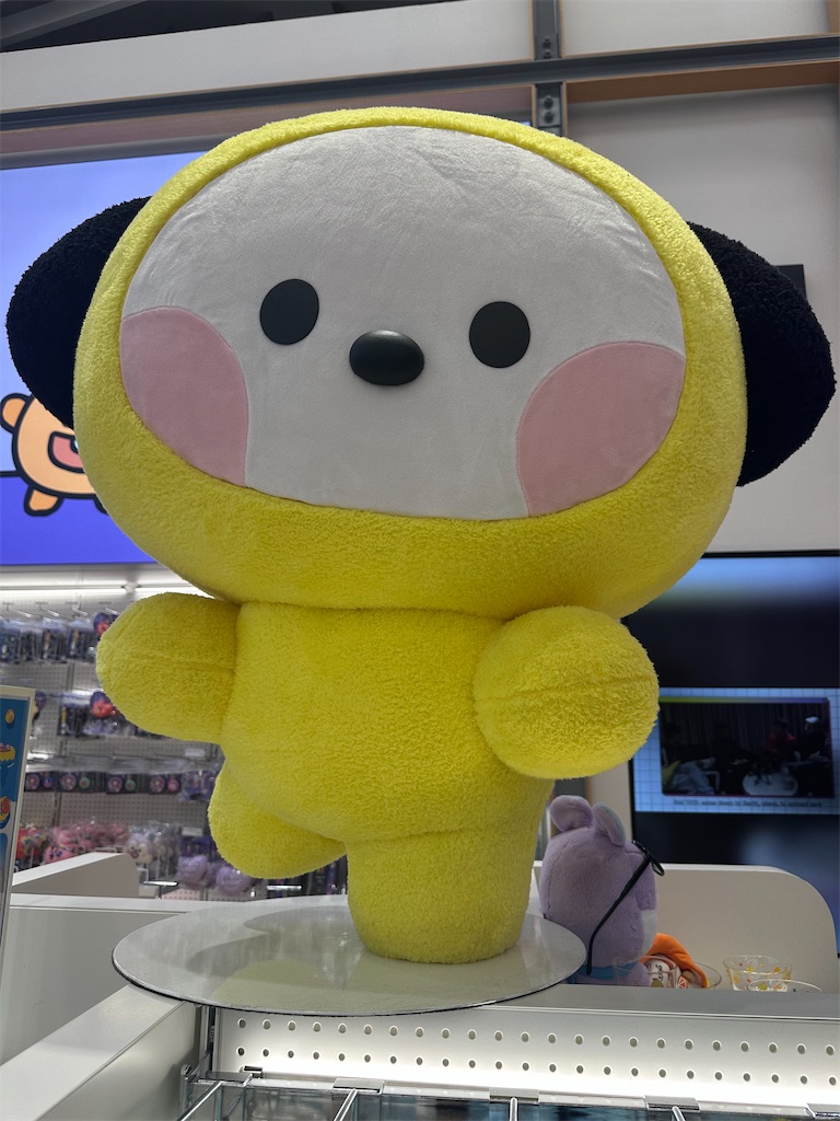 f:id:mayurin2018:20250811180144j:image