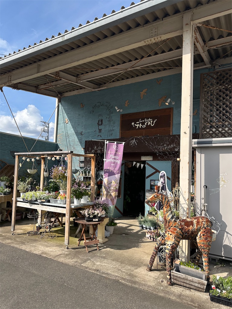 f:id:mayurin2018:20251107133403j:image
