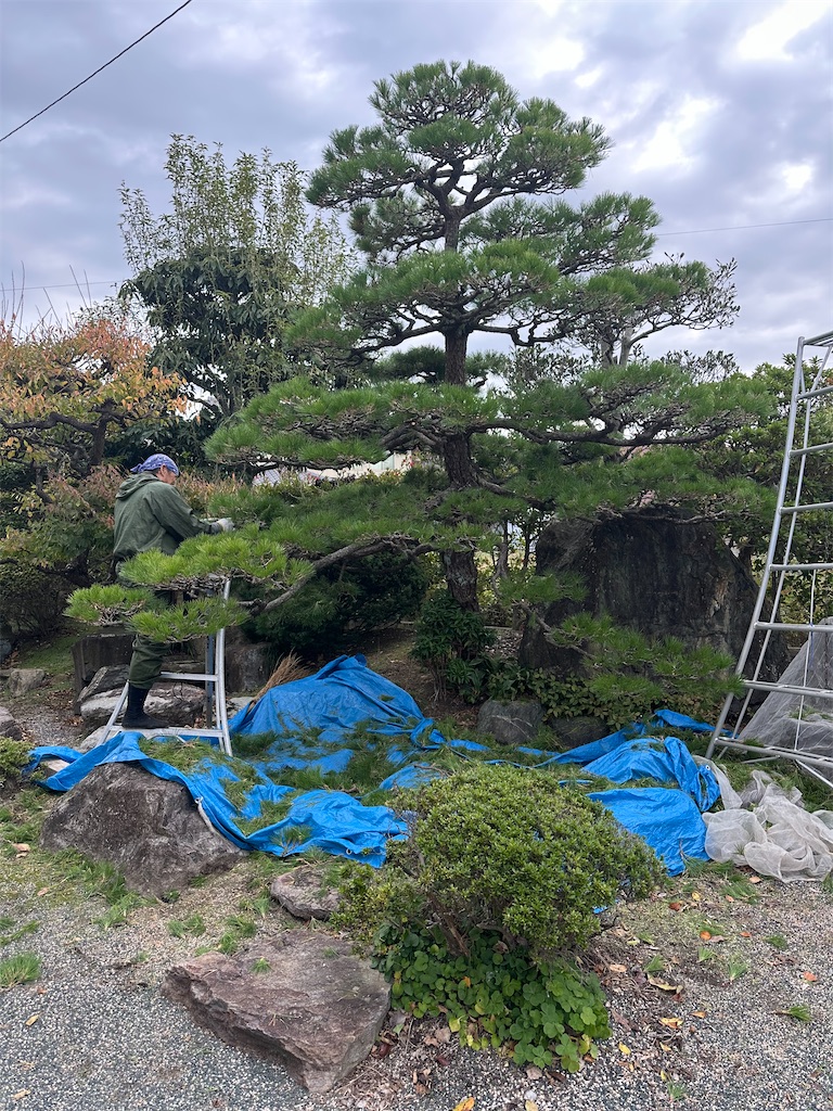 f:id:mayurin2018:20251111111316j:image