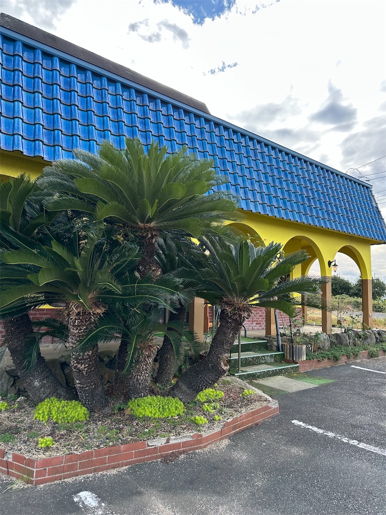 f:id:mayurin2018:20251113151124j:image