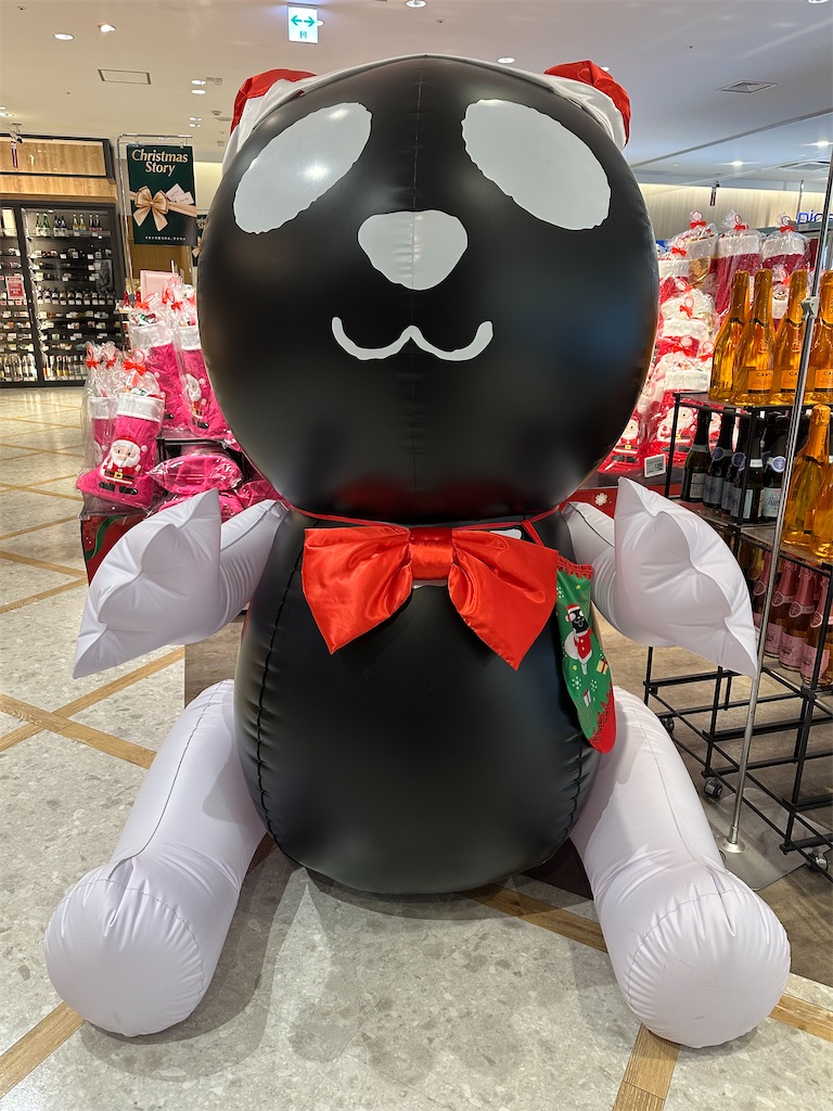 f:id:mayurin2018:20251211100232j:image f:id:mayurin2018:20251211100232j:image