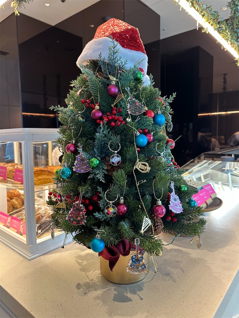 f:id:mayurin2018:20251221121241j:image