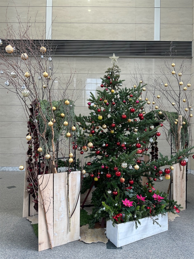 f:id:mayurin2018:20251223145752j:image