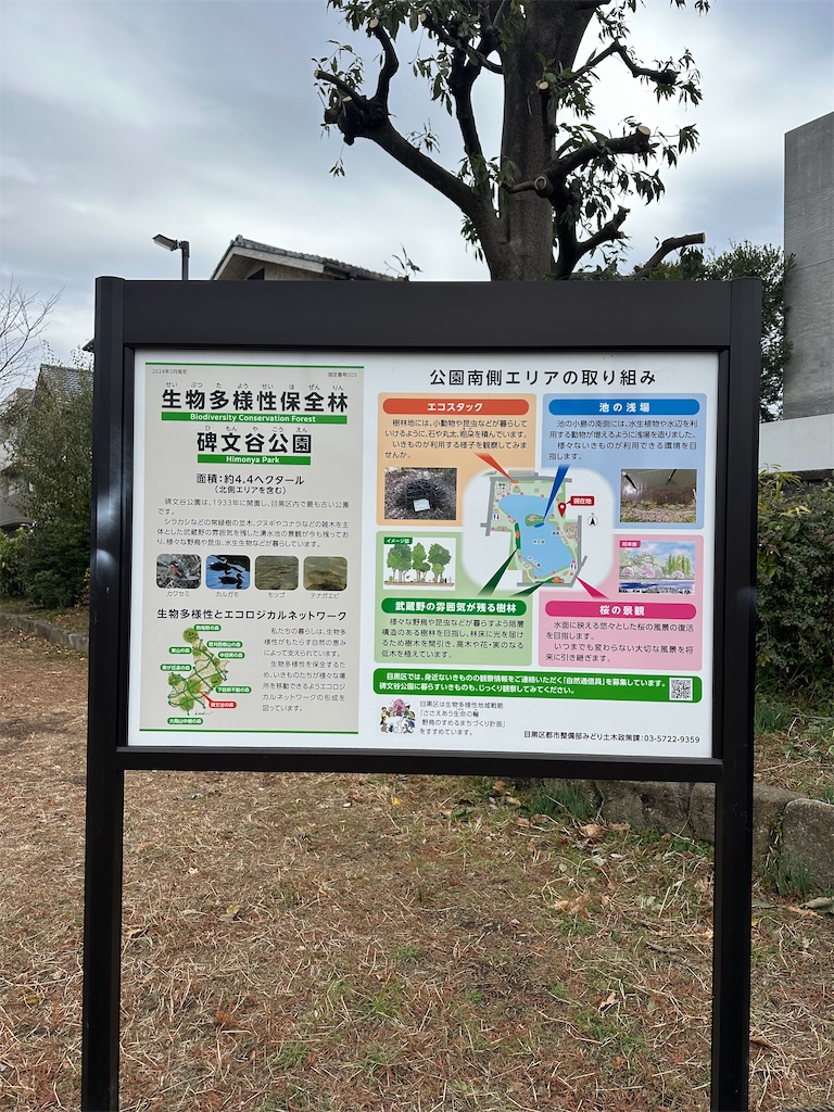 f:id:mayurin2018:20251227105210j:image