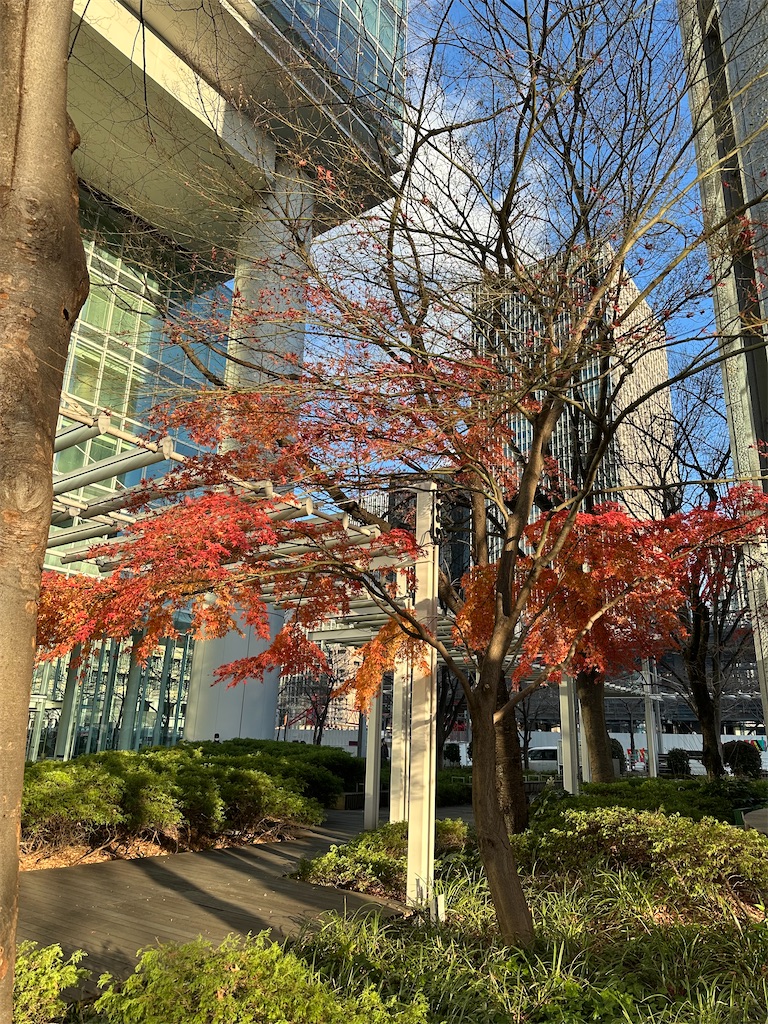 f:id:mayurin2018:20260102154348j:image