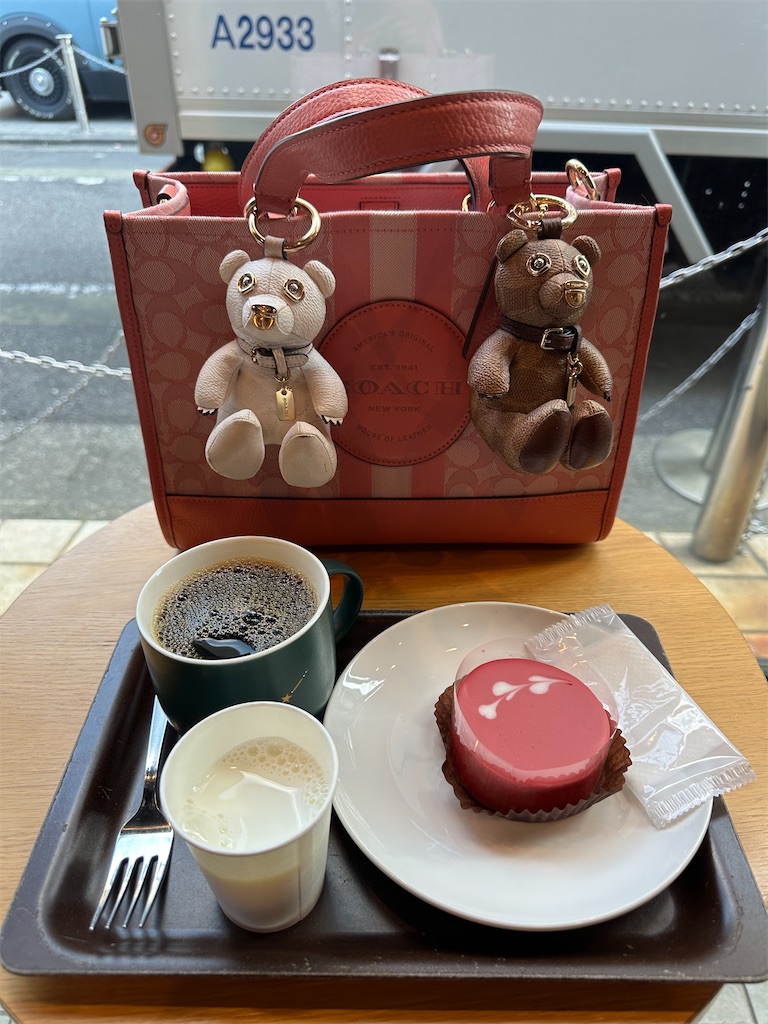 f:id:mayurin2018:20260117104605j:image