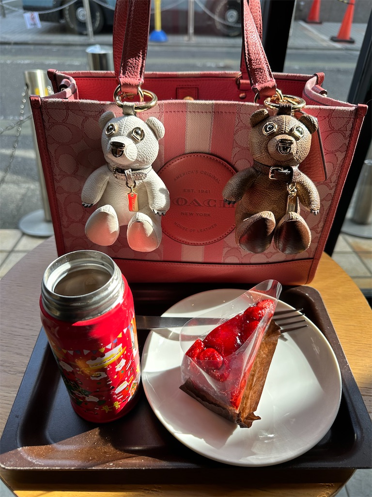 f:id:mayurin2018:20260120112823j:image