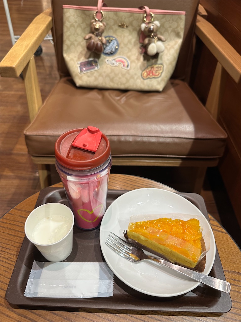 f:id:mayurin2018:20260131141327j:image