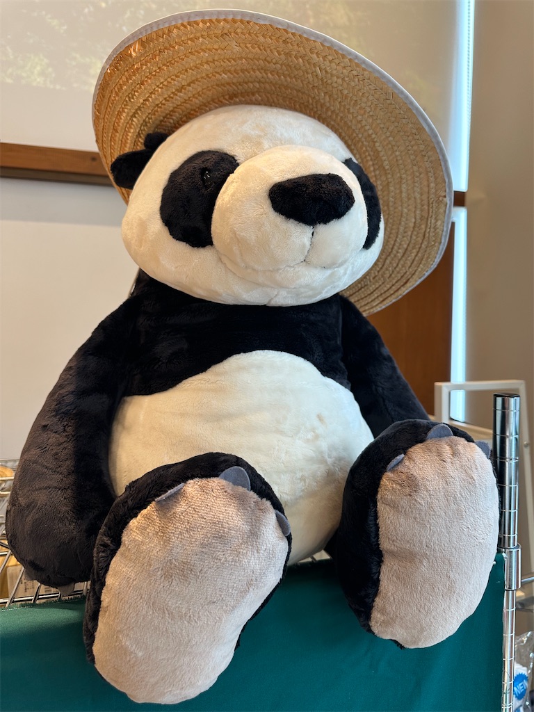 f:id:mayurin2018:20260224134120j:image