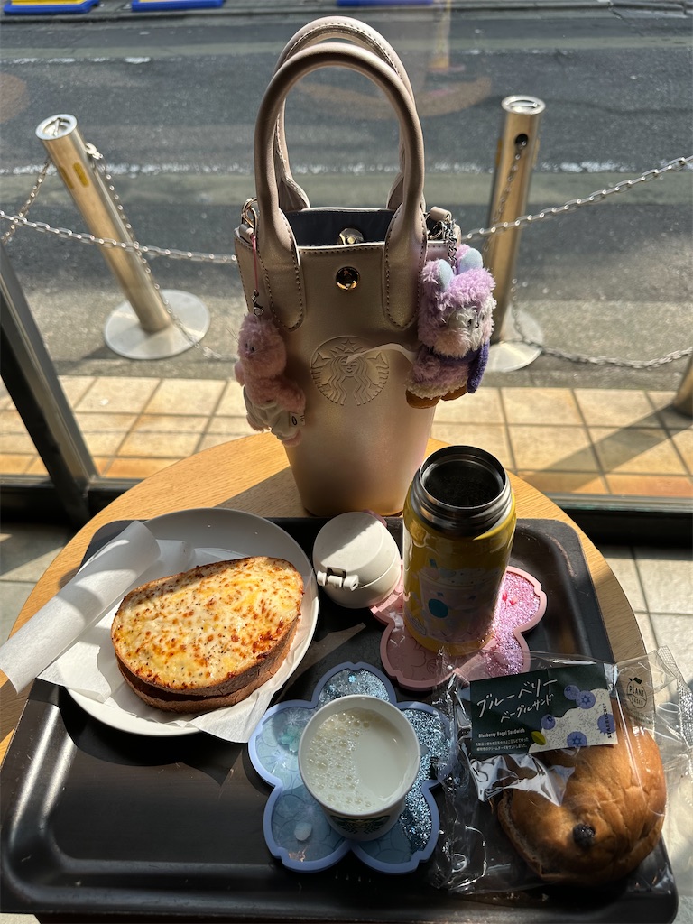 f:id:mayurin2018:20260330105622j:image