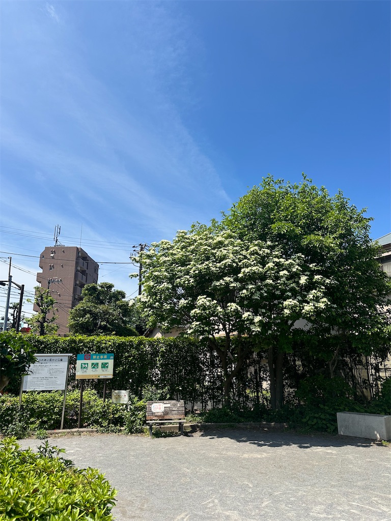 f:id:mayurin2018:20260507110143j:image