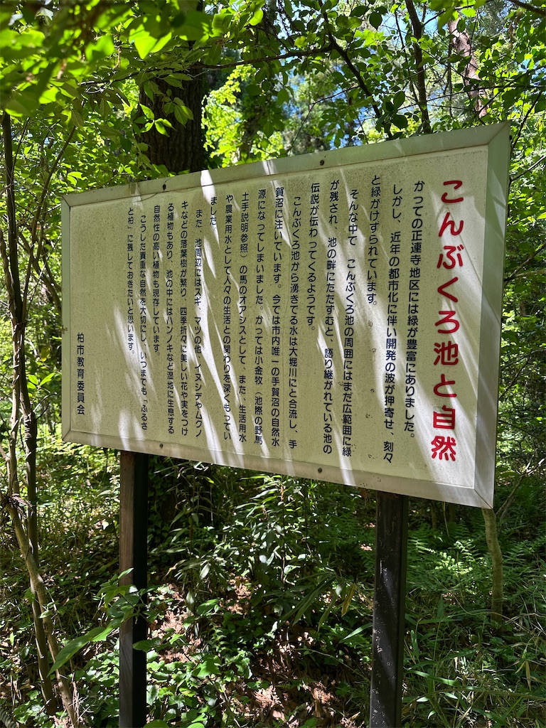 f:id:mayurin2018:20260509140911j:image