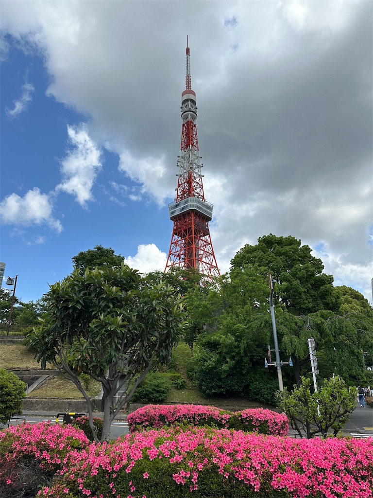 f:id:mayurin2018:20260511131731j:image