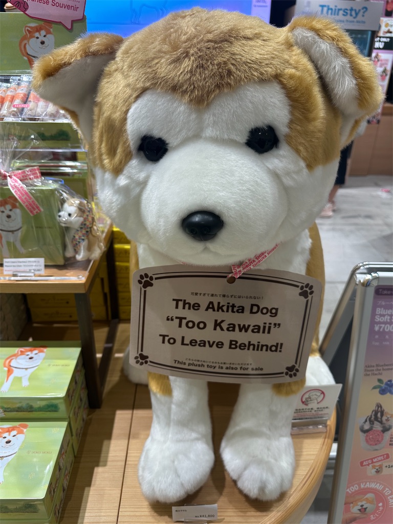 渋谷スクランブルスクエア14階の『ハチふる SHIBUYA meets AKITA』へ