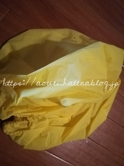 f:id:mayusachi:20180916094556j:image