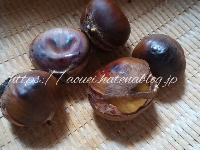 f:id:mayusachi:20181006080012j:image f:id:mayusachi:20181006080012j:image