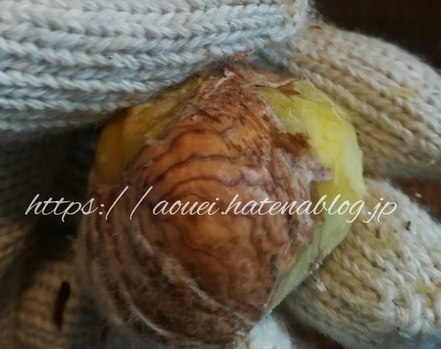 f:id:mayusachi:20181006080212j:image f:id:mayusachi:20181006080212j:image