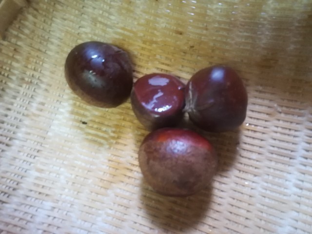 f:id:mayusachi:20181006080522j:image f:id:mayusachi:20181006080522j:image