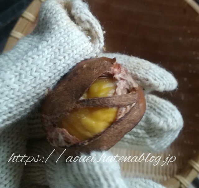 f:id:mayusachi:20181006081600j:image f:id:mayusachi:20181006081600j:image