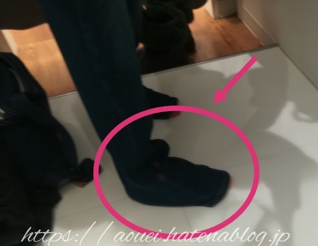 f:id:mayusachi:20181204090502j:image