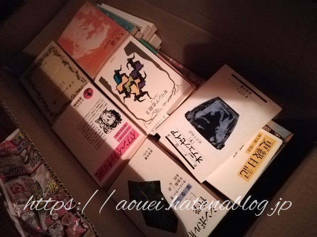 f:id:mayusachi:20190104084244j:image