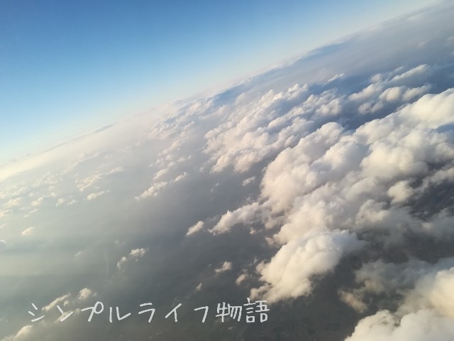 f:id:mayusachi:20190106094247j:image
