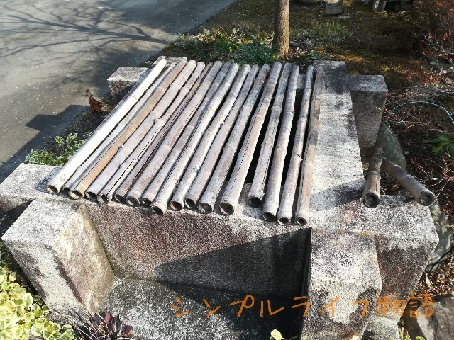 f:id:mayusachi:20190106094335j:image