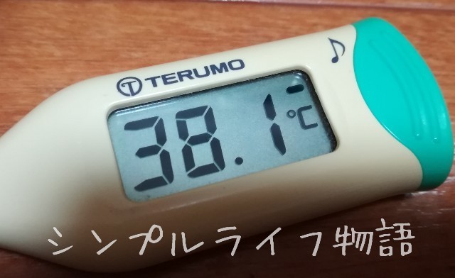 f:id:mayusachi:20190110114546j:image