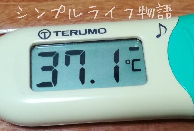f:id:mayusachi:20190112114437j:image