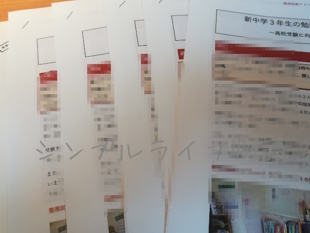 f:id:mayusachi:20190410213145j:image