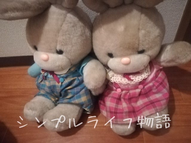 f:id:mayusachi:20190427234928j:image